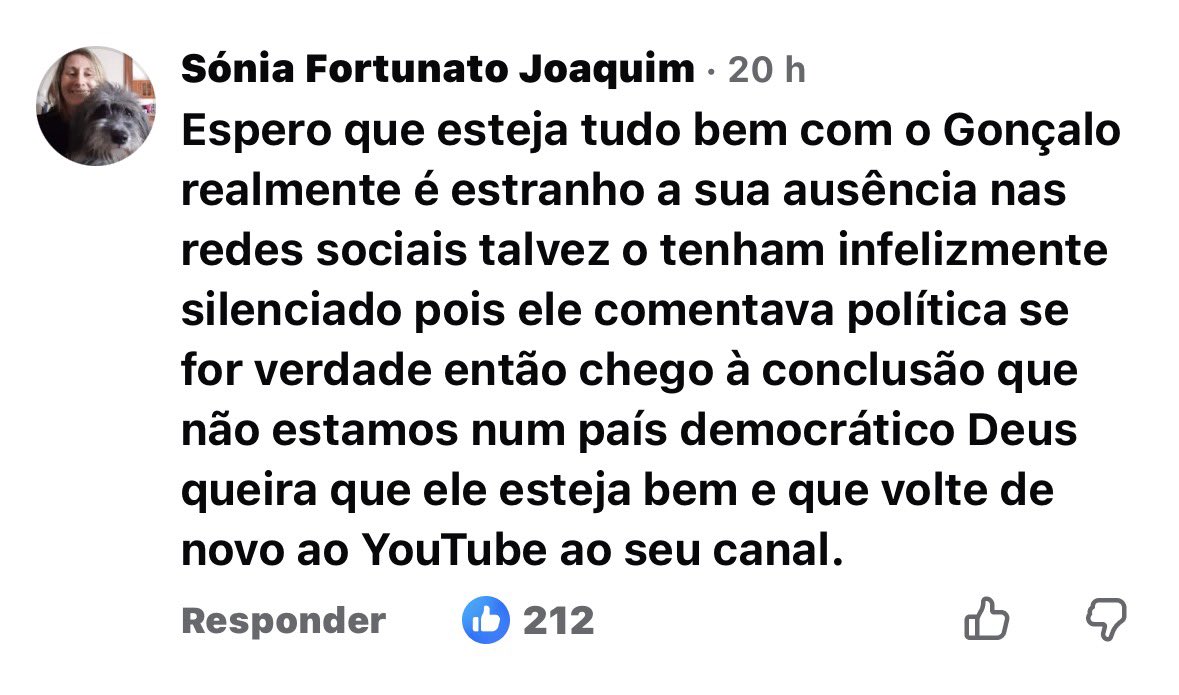 Inês Amaral tweet media