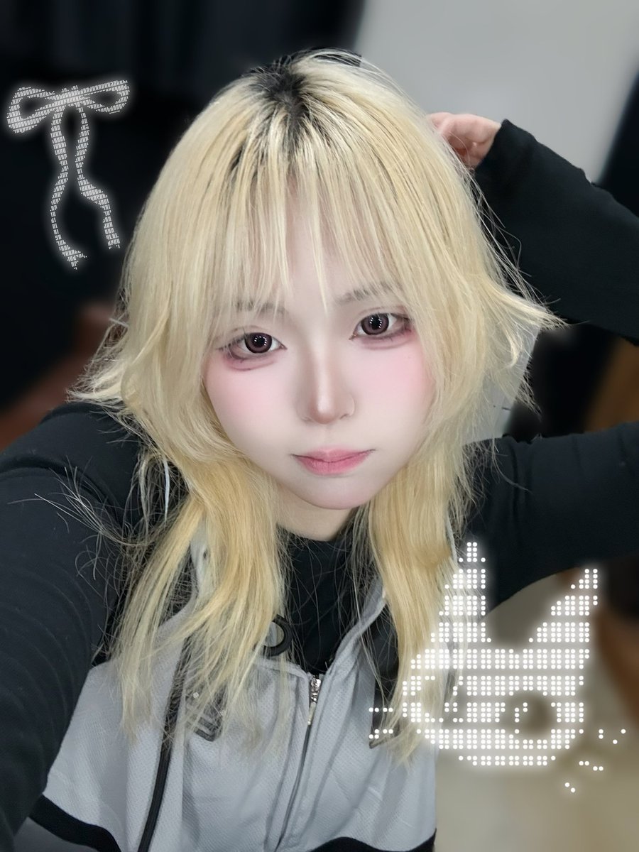 코이 コイ⚓️🪸 tweet media