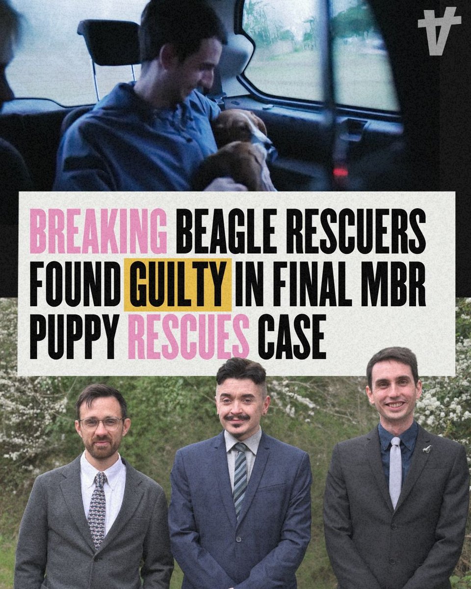 Animal Rising tweet media