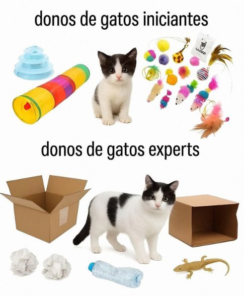 memes extremamente horríveis (ou bons) tweet media