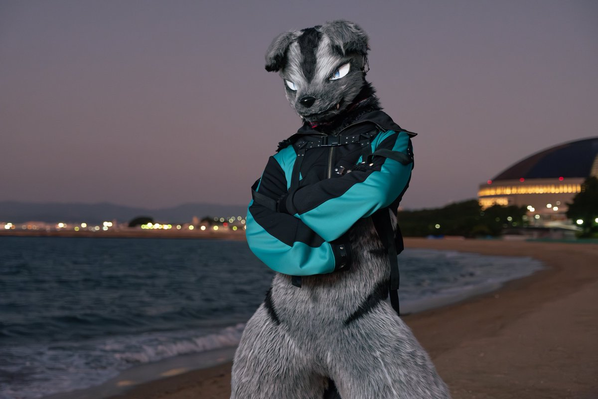 Garo🐾 tweet media