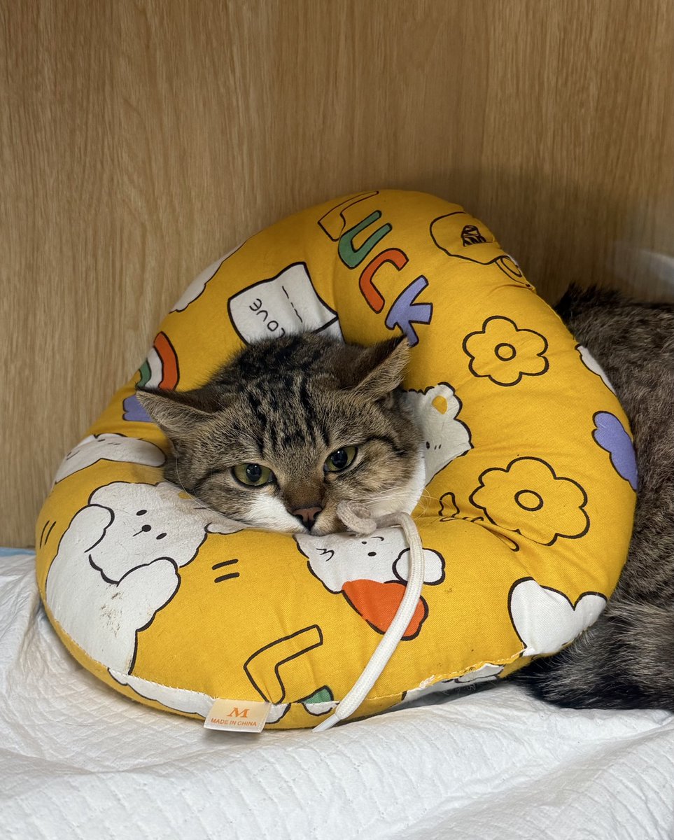 不喜欢下雨天 tweet media