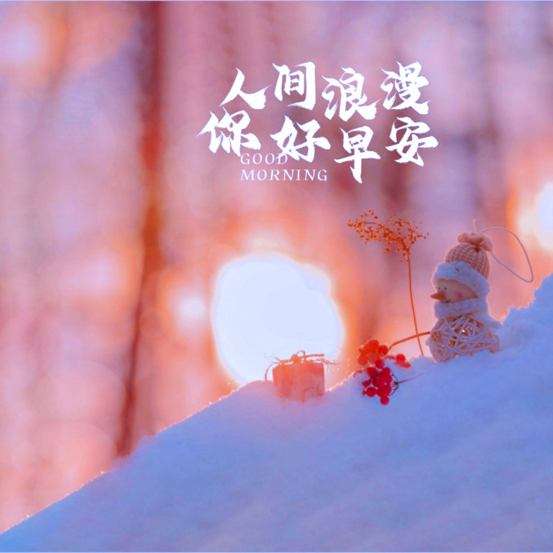 Todd Andrew Sanders tweet media