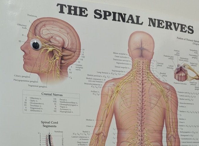 K. McIntire, M.S.Ed 🔬🧪⚙️🧩 tweet media