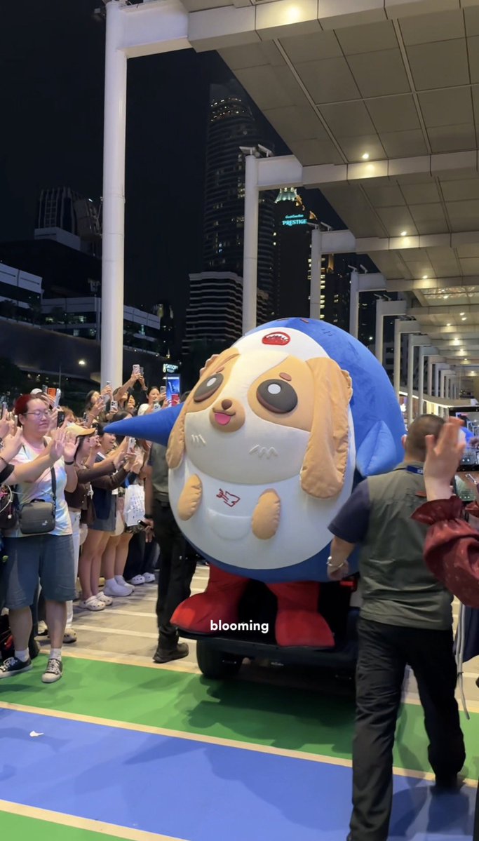 blooming 💌 tweet media