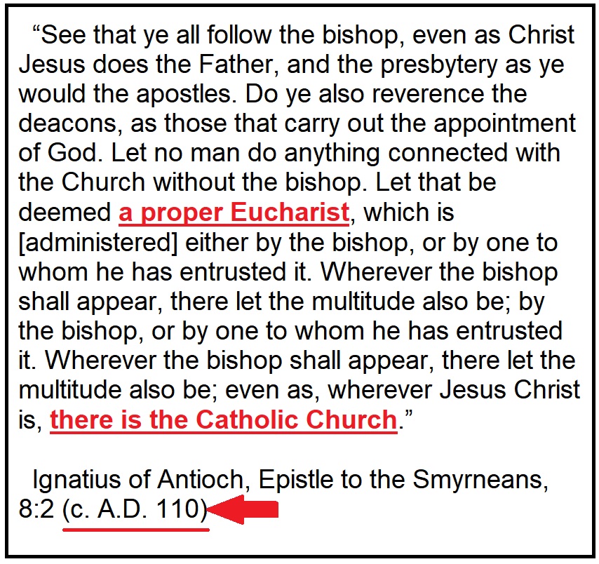 🌷Happy to be Catholic 🇻🇦 tweet media