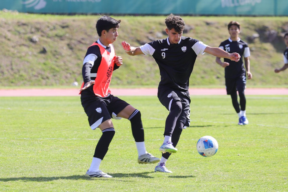 Liga TDP tweet media