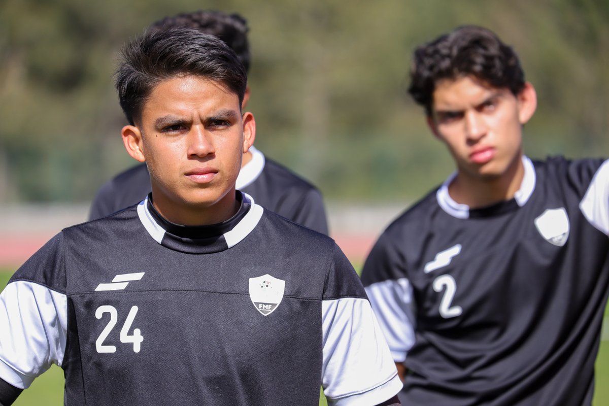 Liga TDP tweet media