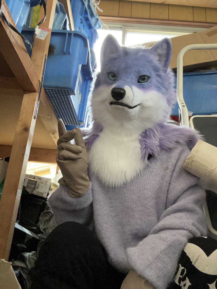 レイヴン・ノクス VT準備中 tweet media