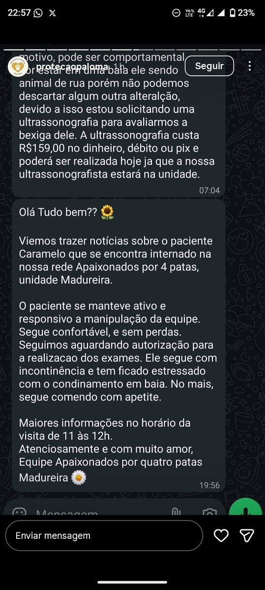 thai 🐼 tweet media