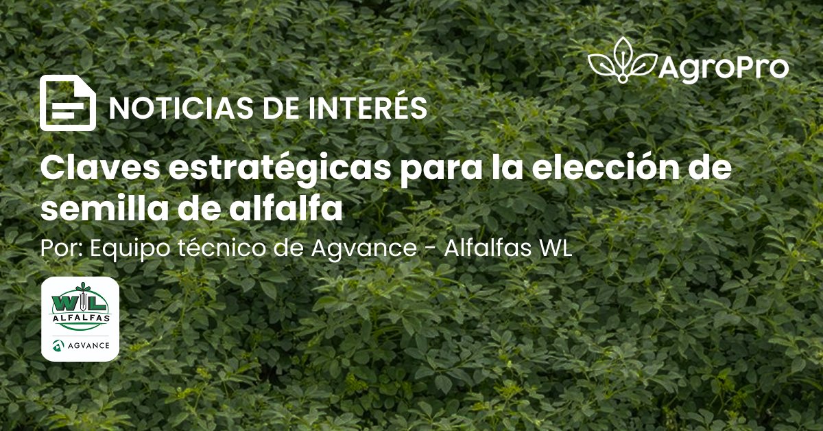 AgroPro Campo tweet media