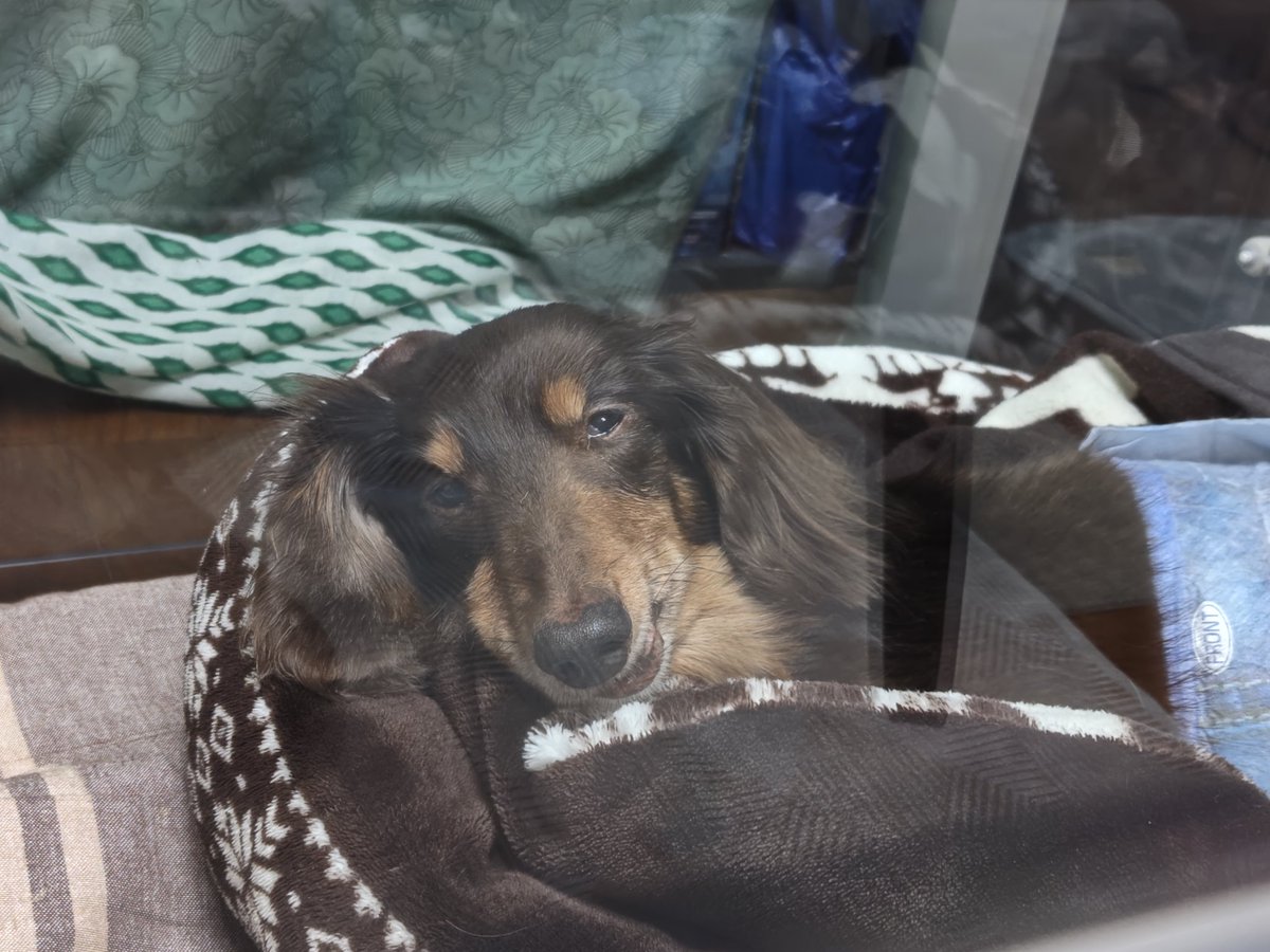 ラッキー王子 tweet media