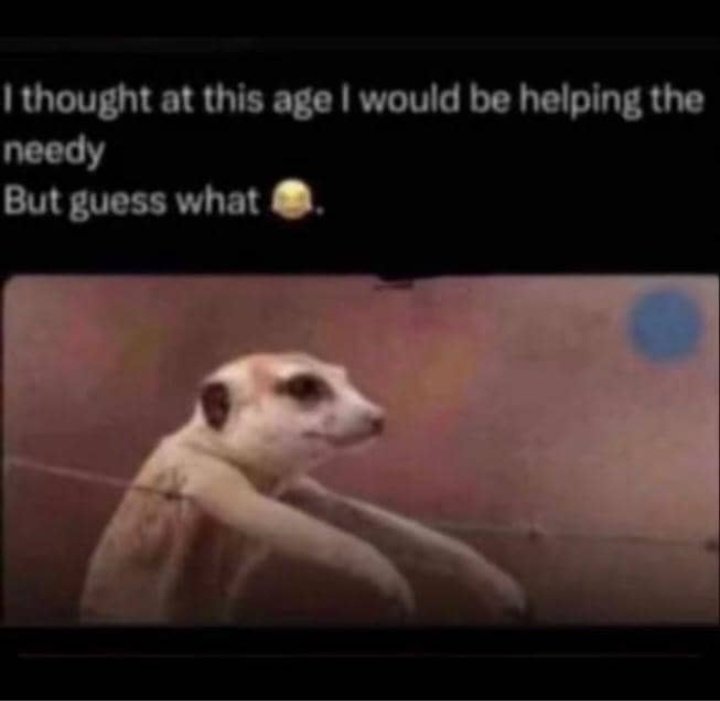 Jeremiah tweet media