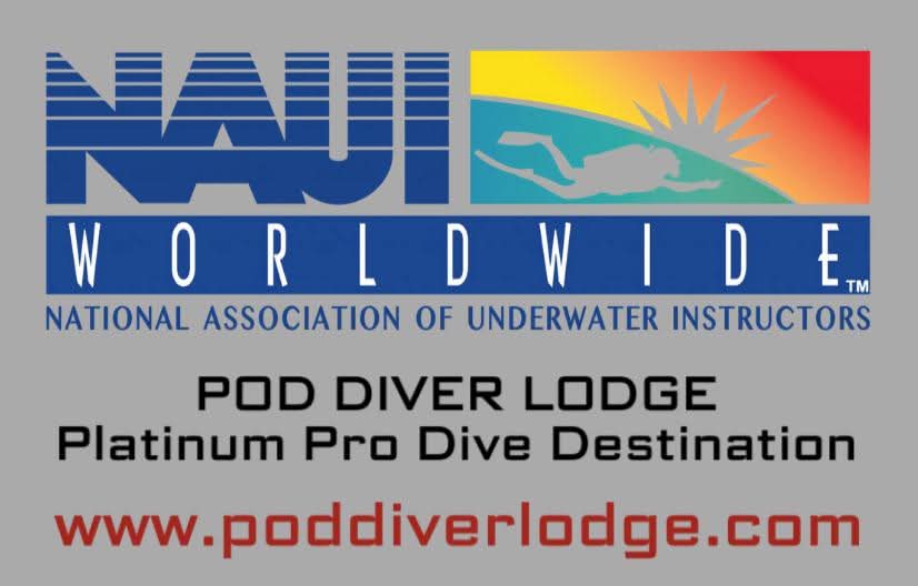 poddiverTV's tweet photo. The Pod Diver Lodge is now an Official NAUI Platinum  If you are a NAUI Instructor training divers in the area, In addition to diver lodging, we are a training facility. https://t.co/dXLvFUgCDQ https://t.co/2yoI1XJwjW