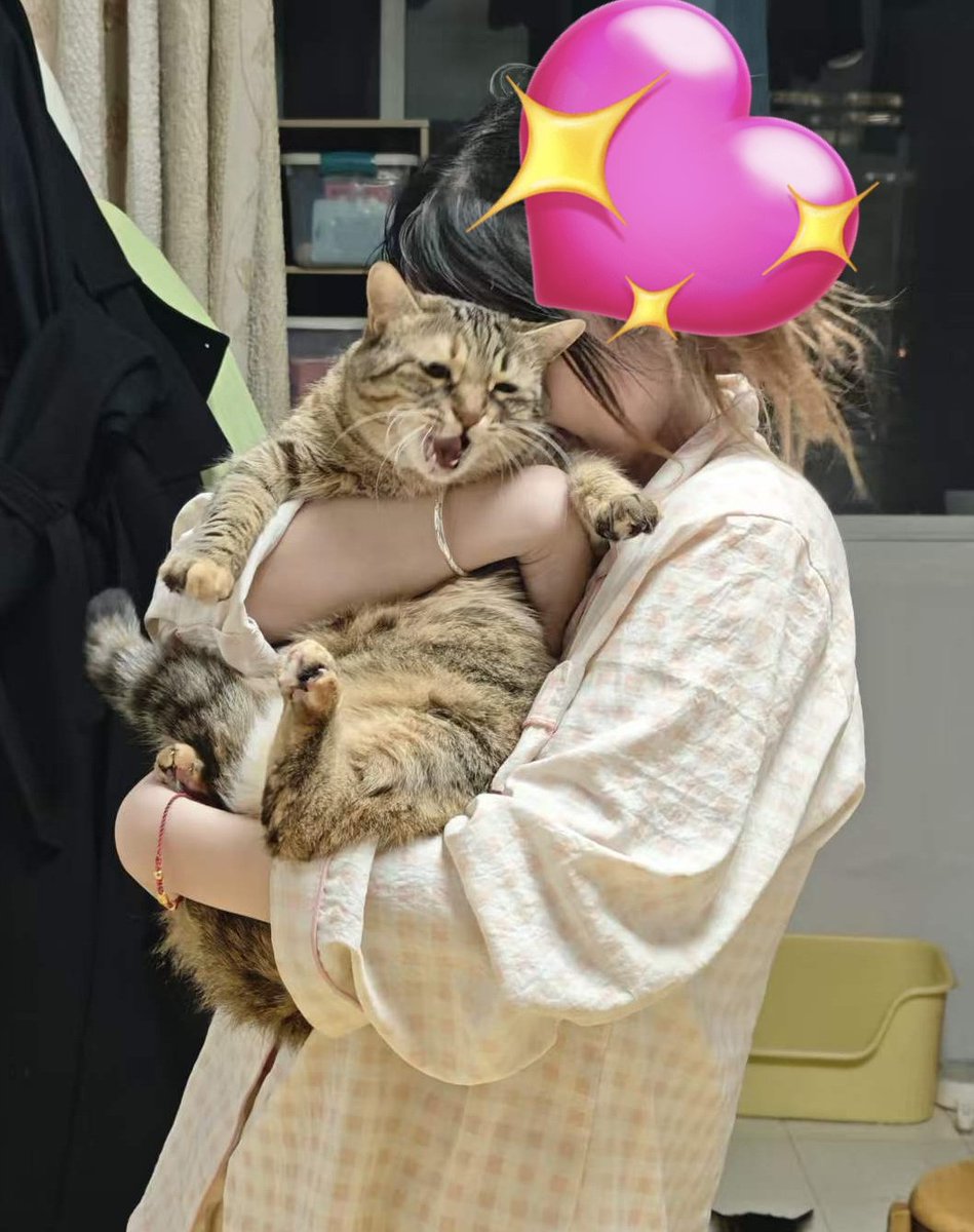 不是冰 tweet media