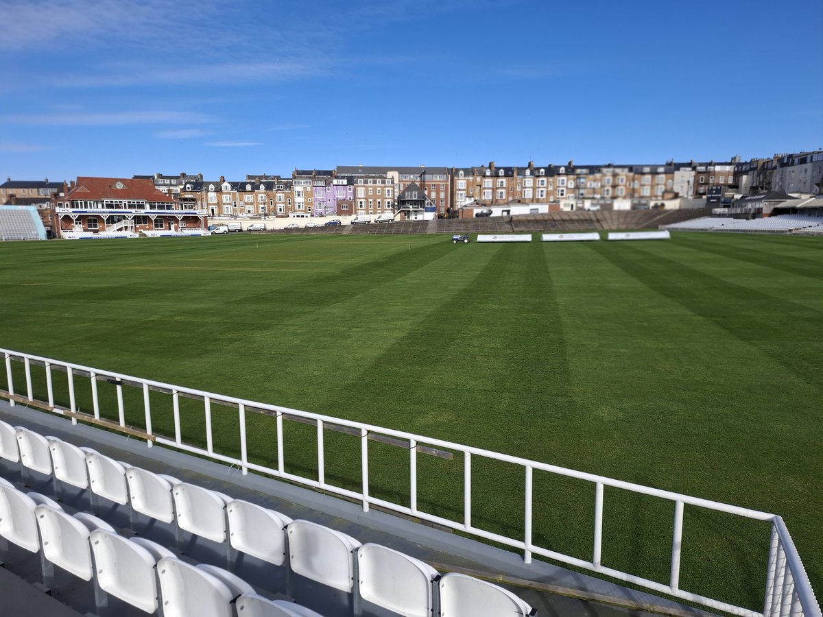 JOHN DODDS tweet media