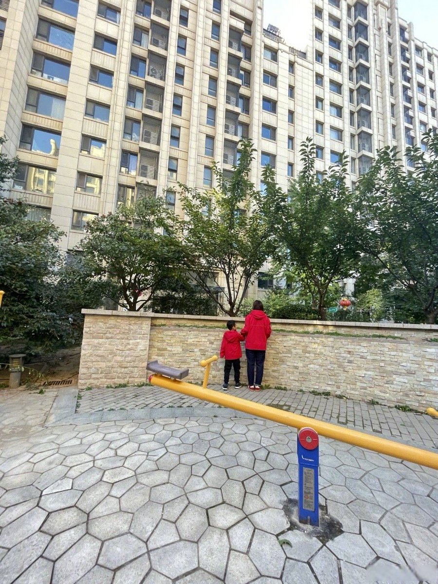 teresa baum tweet media