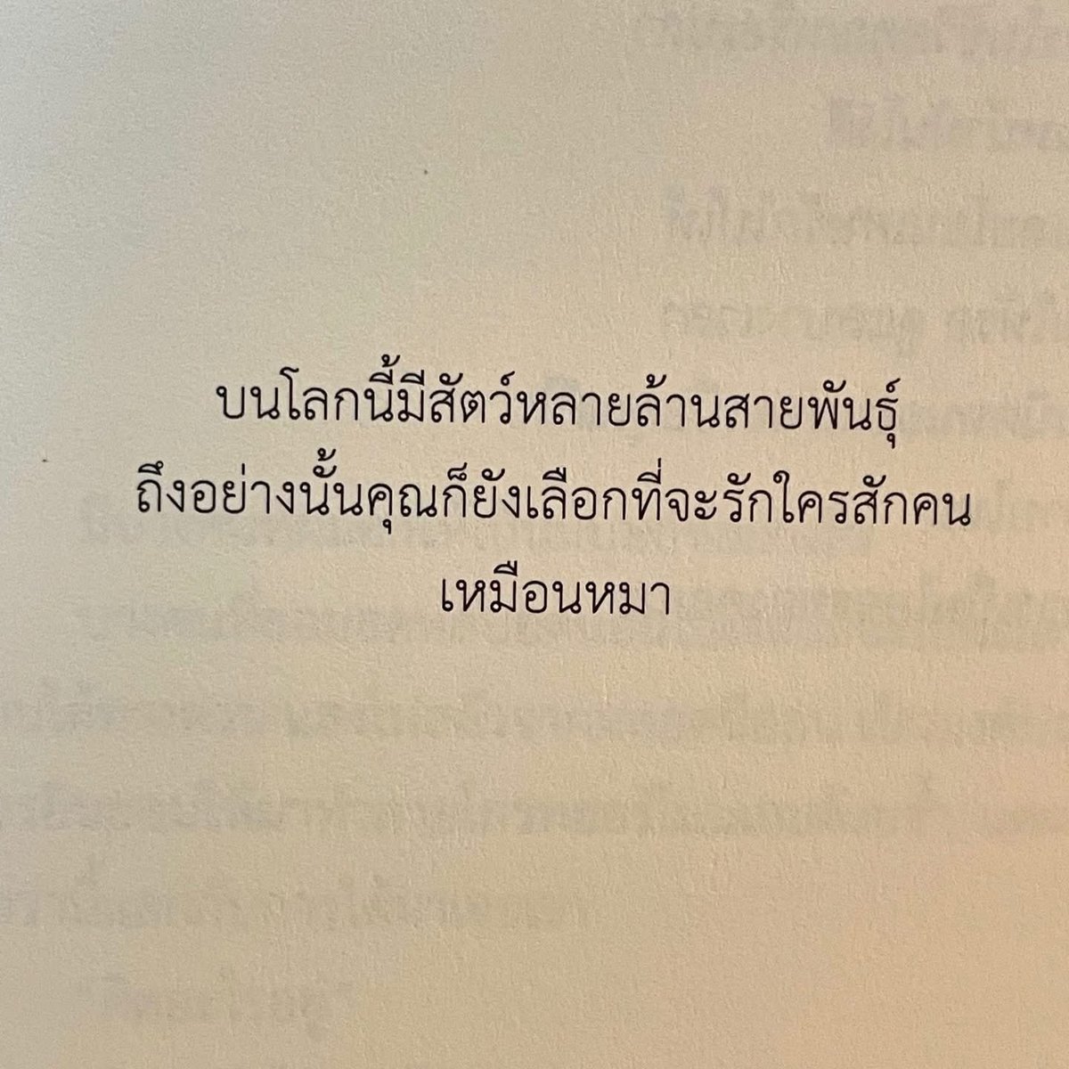 klinnangsue's tweet photo. เก่งมาก 🤣 https://t.co/LzkqZAF4jY