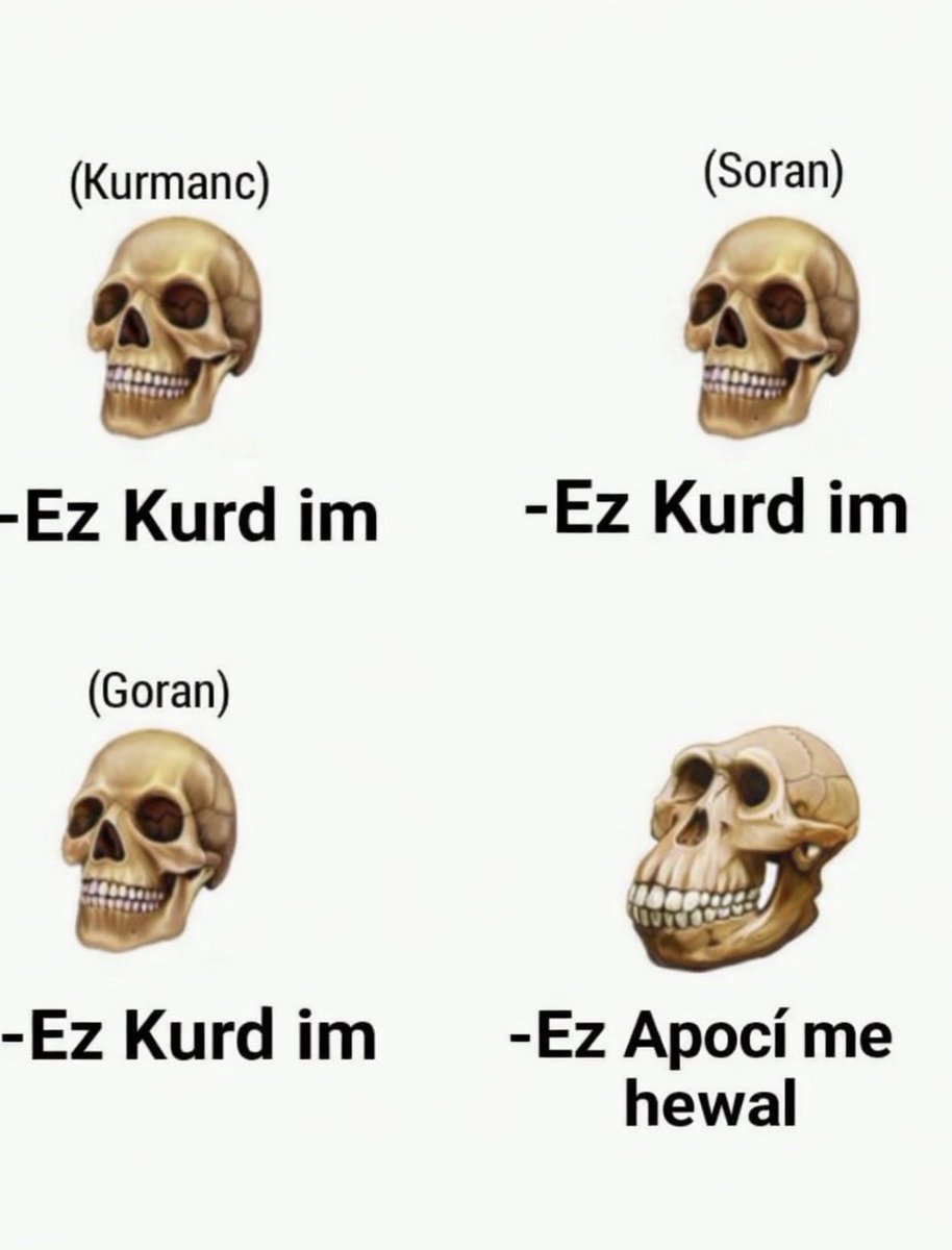 İsrail sevdalısı tweet media