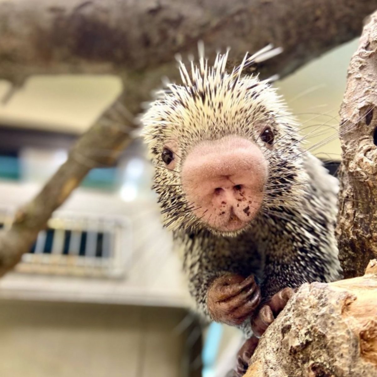 Tengen 💎 tweet media