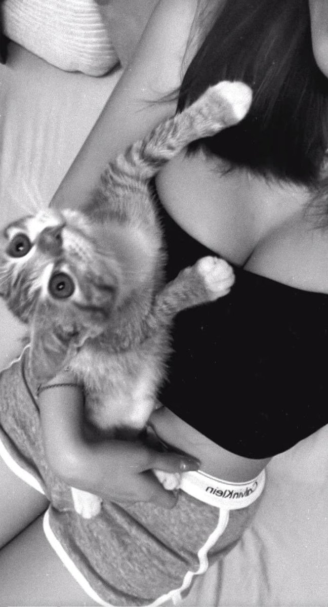 SherryWiesner9's tweet photo. Be Honest 👀  Would u rather be the cat or the one holding it tight?
#Singapore #sggirls #sgfwb https://t.co/0v9YrnE6s3
