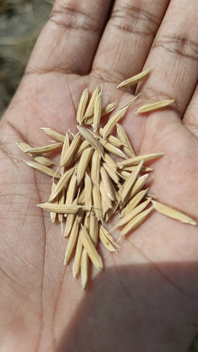 Yen yen 🥰 tweet media