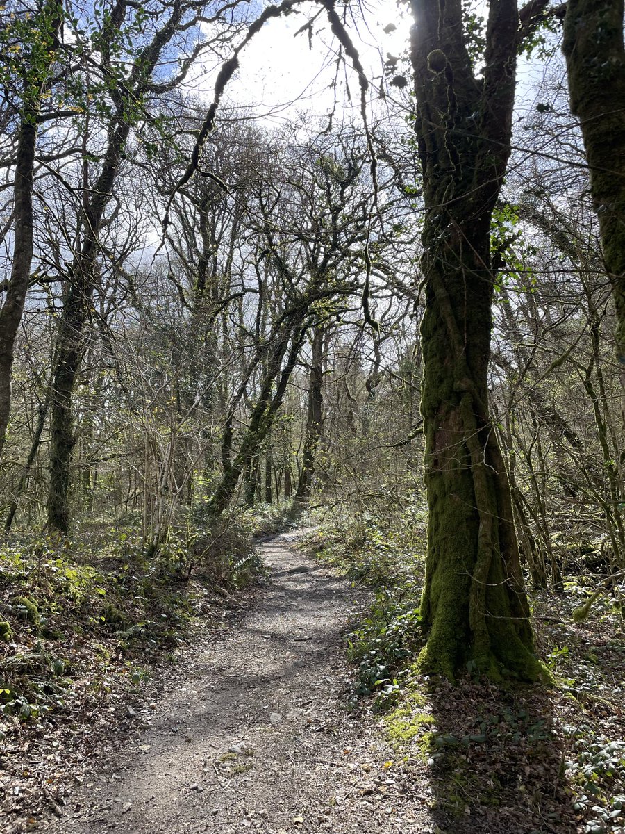 Steph Busby tweet media