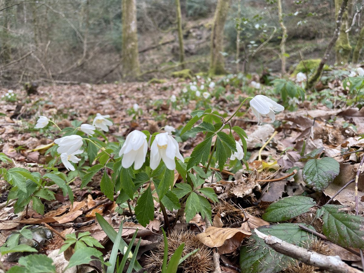 Steph Busby tweet media