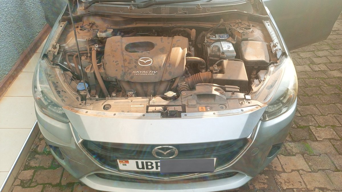 Imraan_k𓃵 tweet media