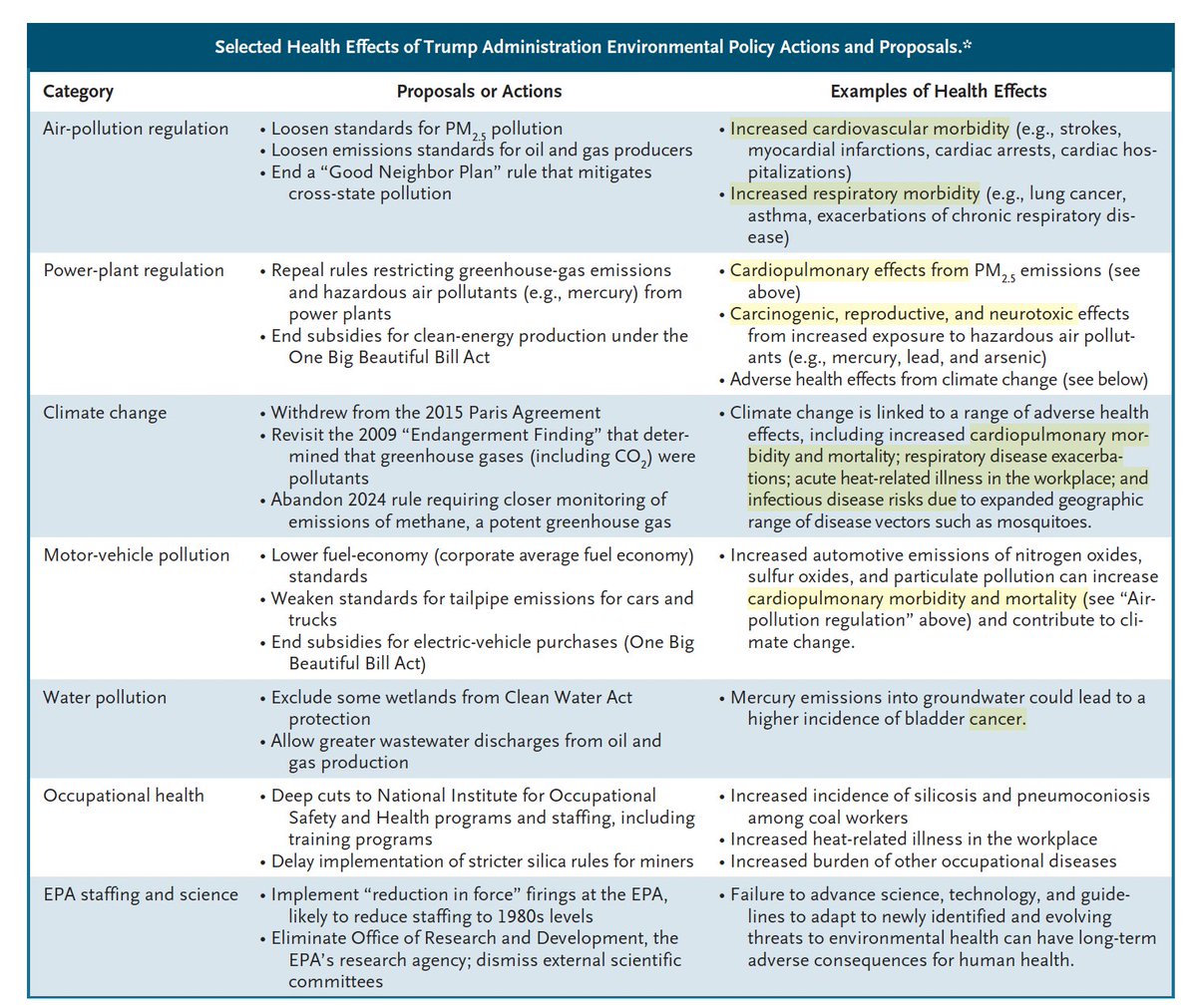 Naftali Kaminski tweet media