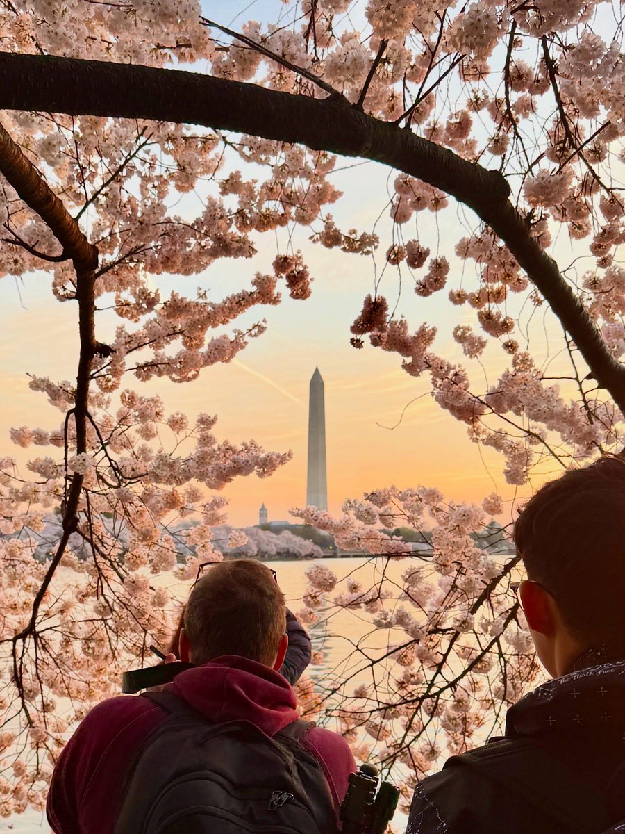 Austin Graff tweet media