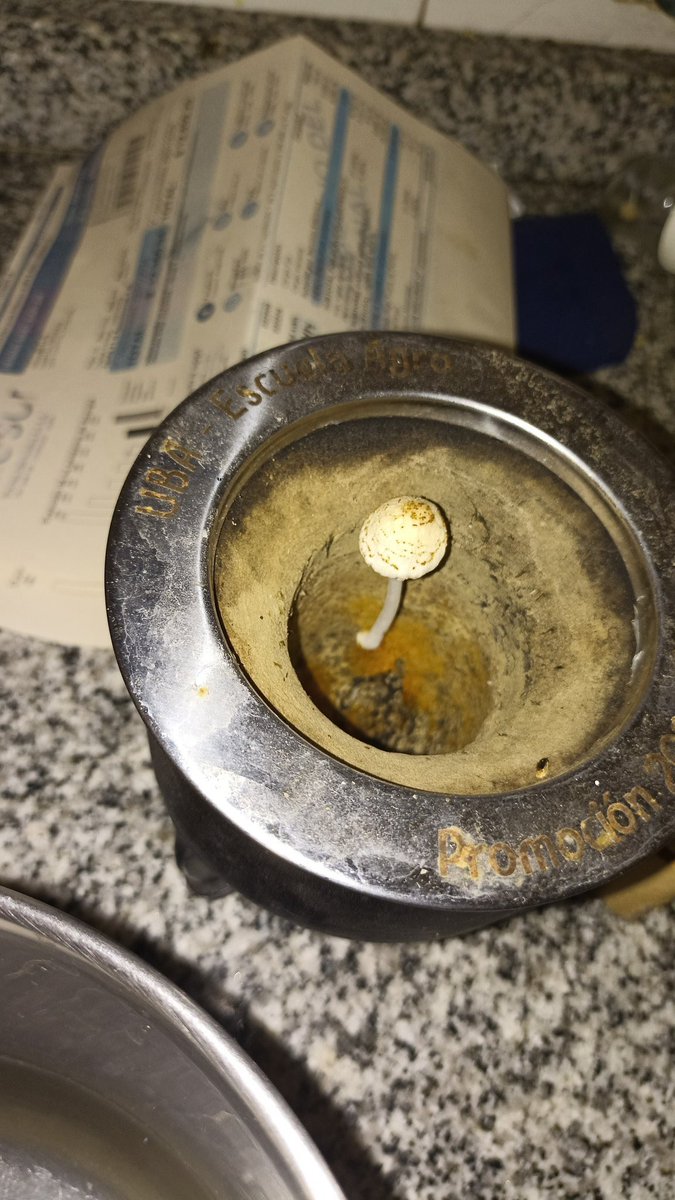 Ismaa 🍥 tweet media