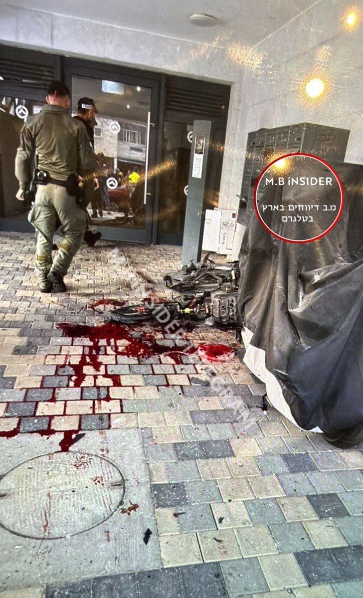 Farah Haidar 🇱🇧🇨🇭 🇵🇸🇳🇬 tweet media