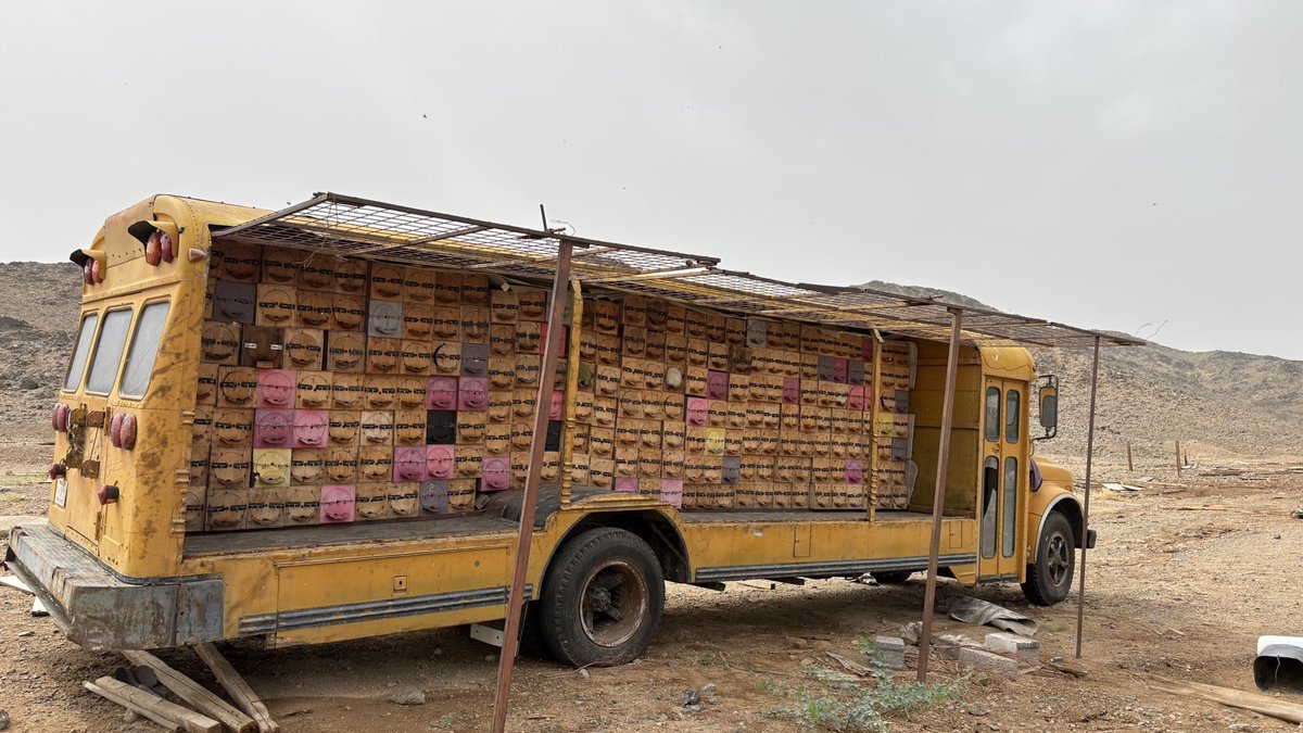 ث ث ث ث tweet media