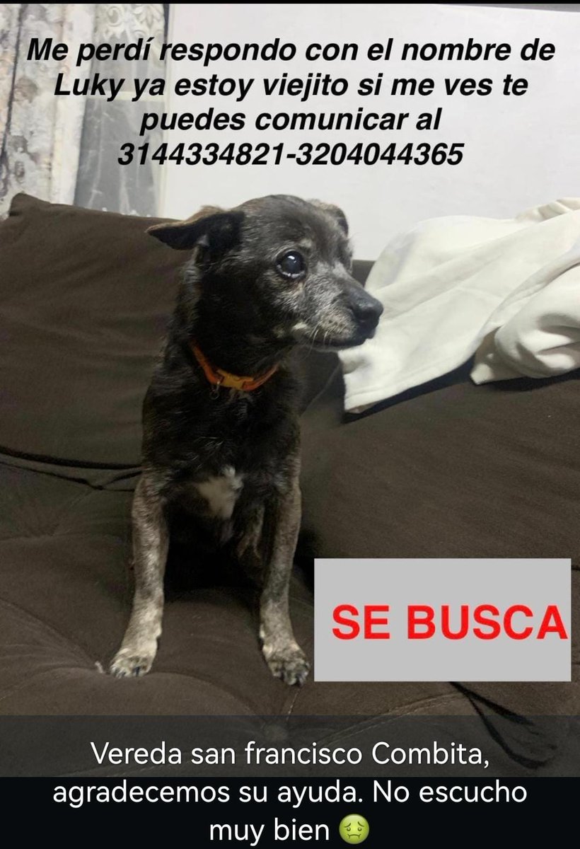 POSITIVA FM TUNJA tweet media