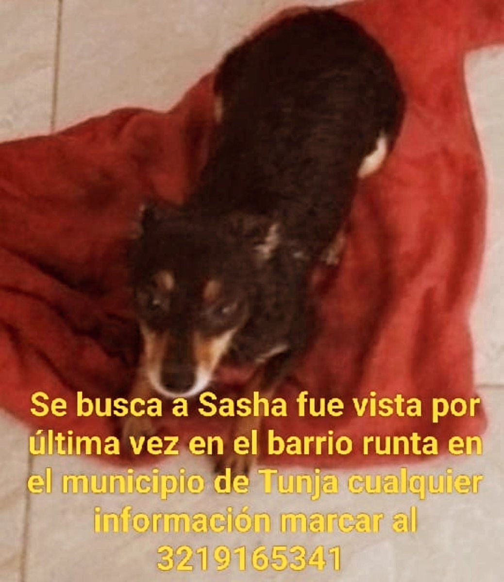 POSITIVA FM TUNJA tweet media