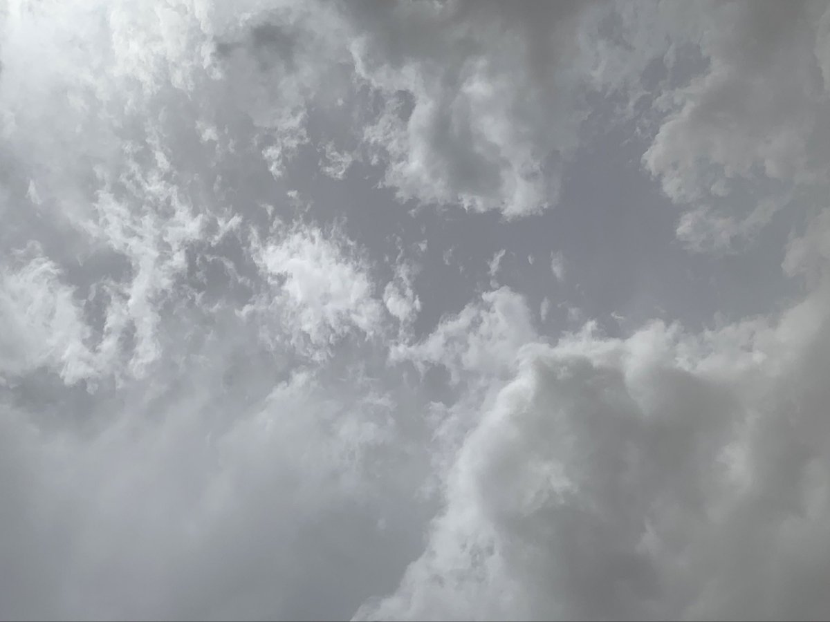 ث ث ث ث tweet media