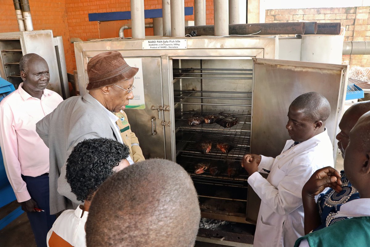 narouganda's tweet photo. Today at @NaroKawanda Council Tour 

Let’s take you to one of NARO’s game-changing satellite stations — Agricultural Engineering, Namalele 

Innovation spotlight: The Fish Kiln

This breakthrough is transforming Uganda’s fish value chain!
✅ Reduces carcinogens (cancer causing substances) to internationally acceptable levels 
✅ Produces high-quality smoked fish 
✅ Unlocks access to export markets 

From local processing to global standards — this is how NARO is driving innovation for safer food and better incomes.