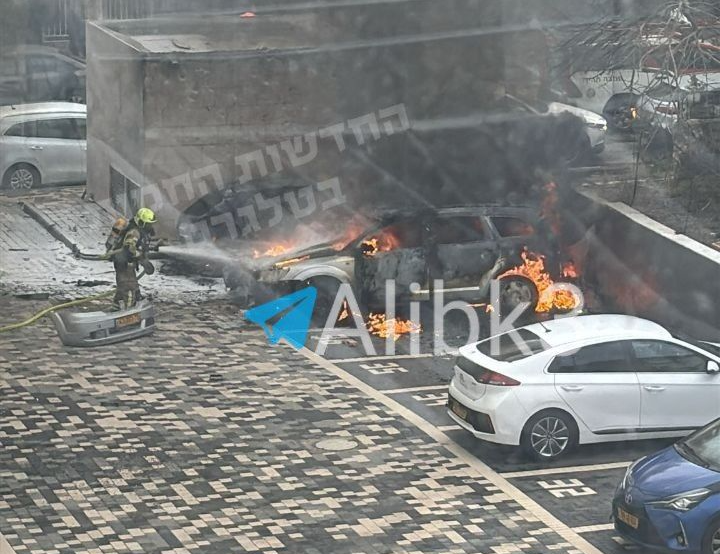 Korobochka (コロボ) 🇦🇺✝️ tweet media