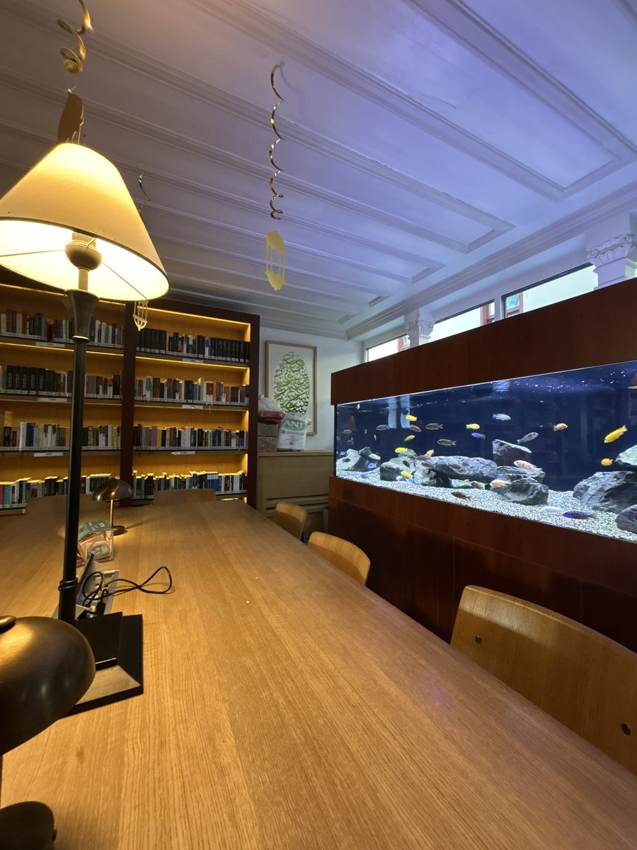 Azzeye dua edin efendimizi rüyasında görsün tweet media