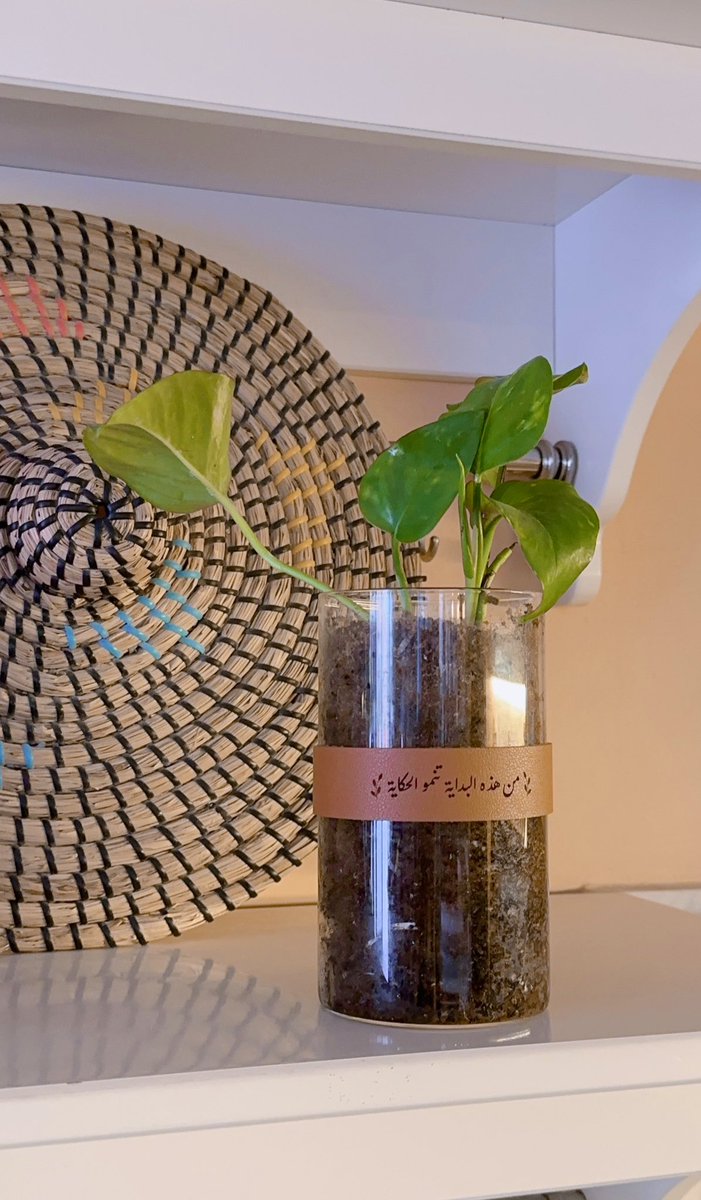 ✨ Baraah | براءة tweet media