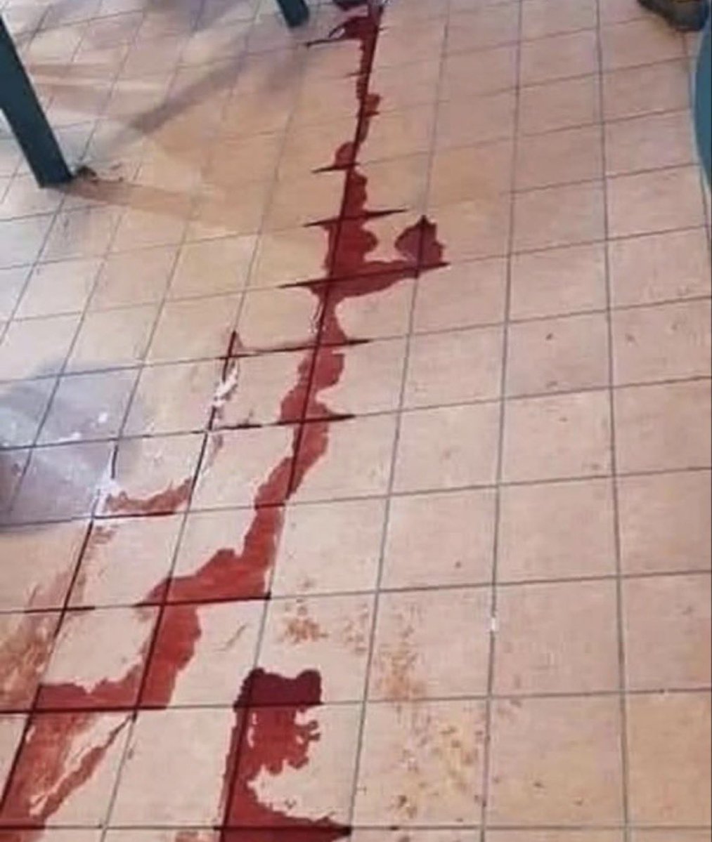 CHEQUEMATE 🥭 tweet media