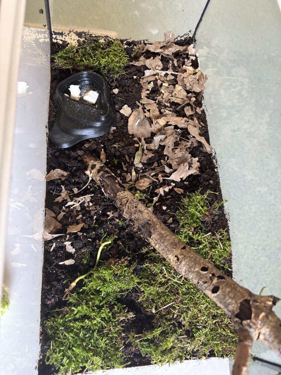 ajax ๑ï ༘⋆ tweet media