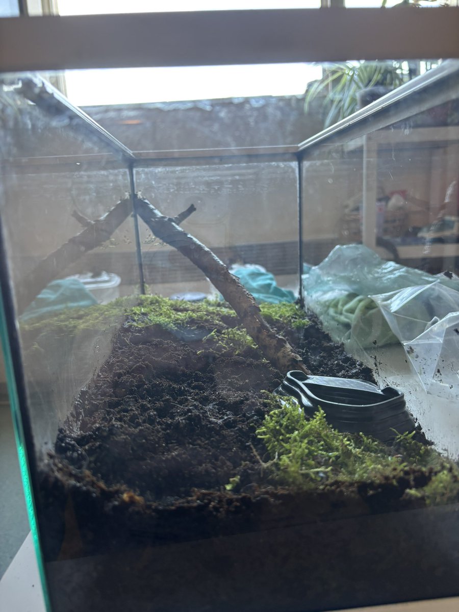 ajax ๑ï ༘⋆ tweet media