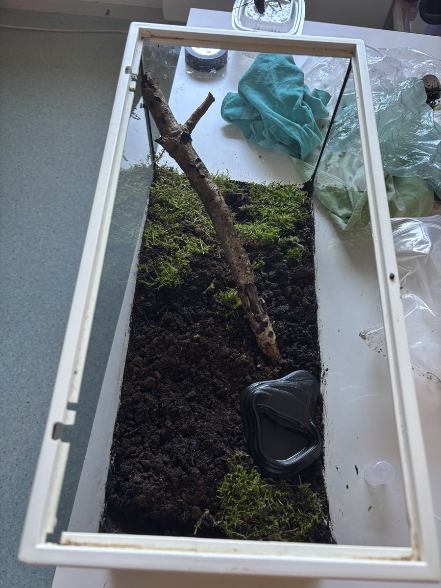 ajax ๑ï ༘⋆ tweet media