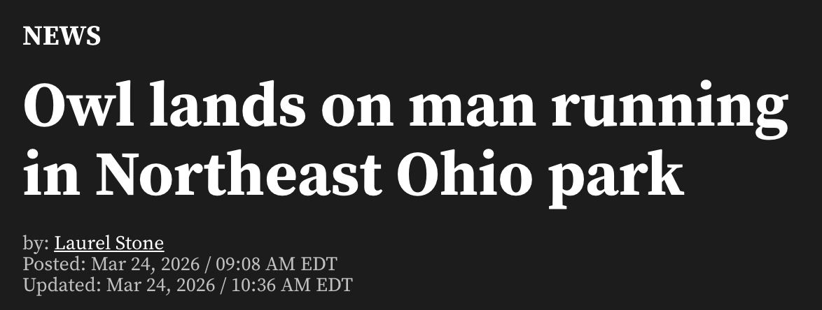 Eric Sandy tweet media