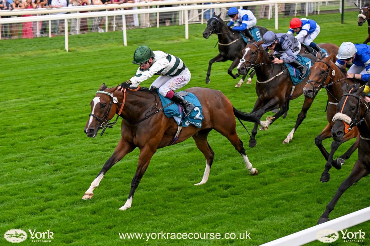 Five Star Racing Club⭐️ 🏆 tweet media