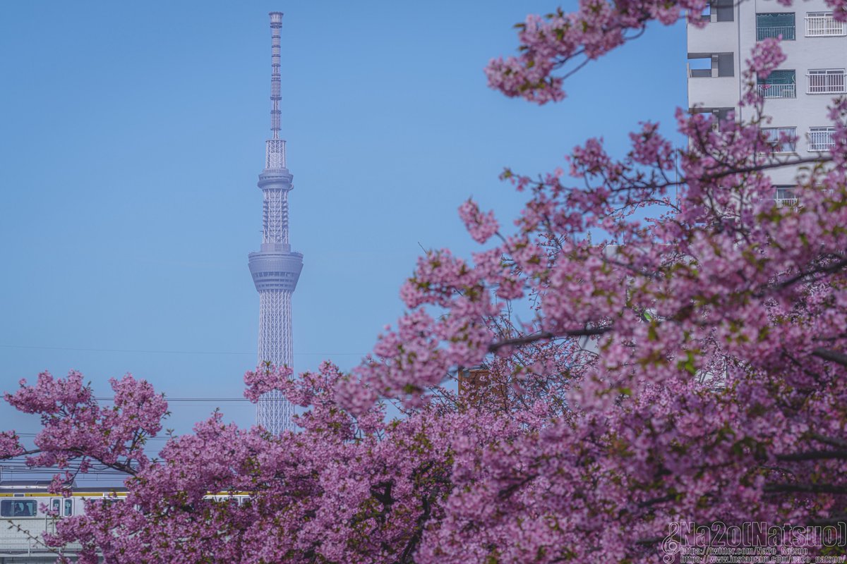 Na2o(Natsuo) tweet media