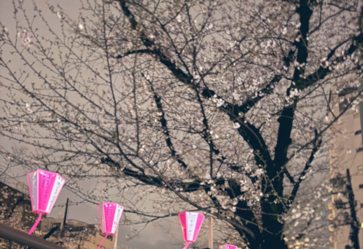 なべプロ@一口馬主Buddies tweet media