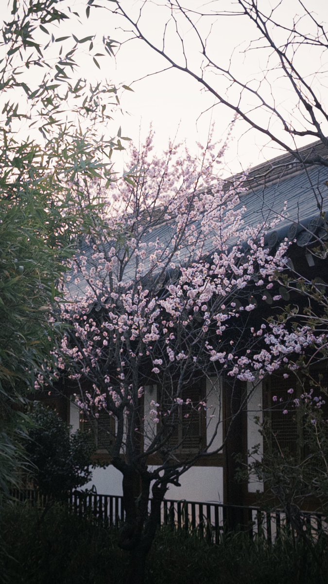 백🎗 tweet media